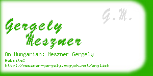 gergely meszner business card